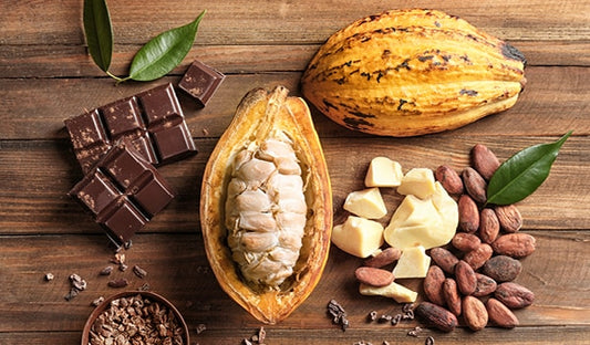 Benefits of Cocoa Butter for skin