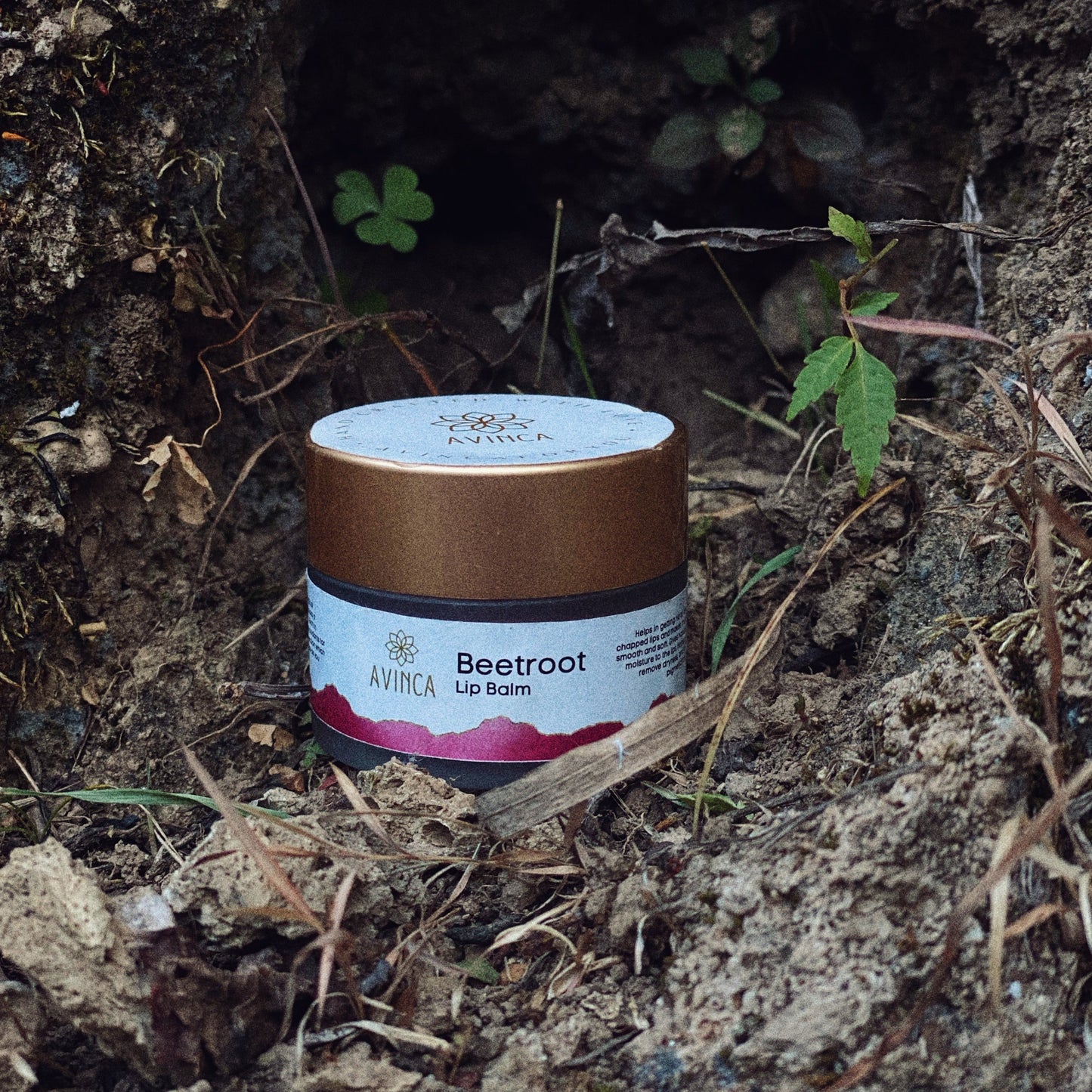 Beetroot Lip Balm